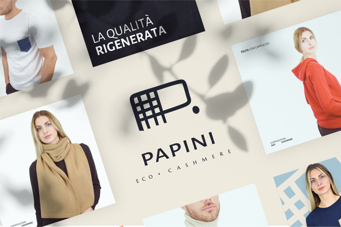 Papini Banner website instagram